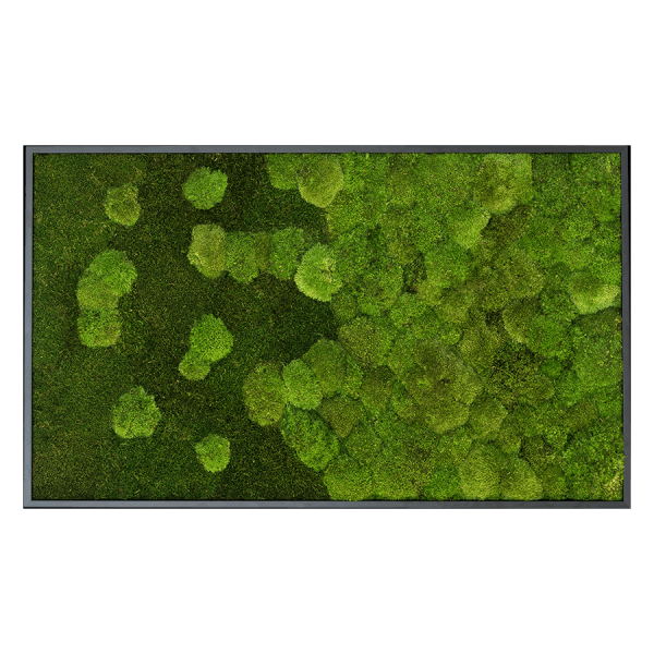styleGREEN MOOSBILD VERLAUF WALD- UND KUGELMOOSBILD 100X60 cm