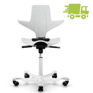 Hag Capisco Puls 8010 weiss schnell geliefert Hag Capisco Puls 8010 weiss schnell geliefert