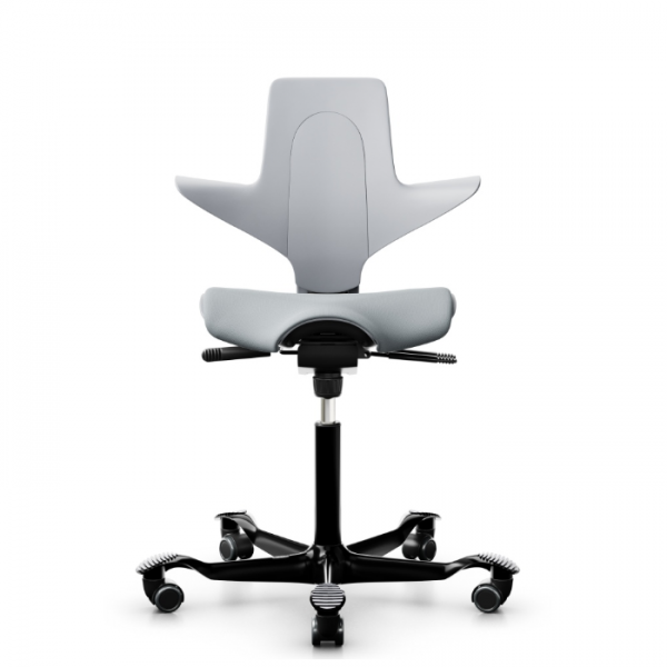 HAG Capisco Puls 8020