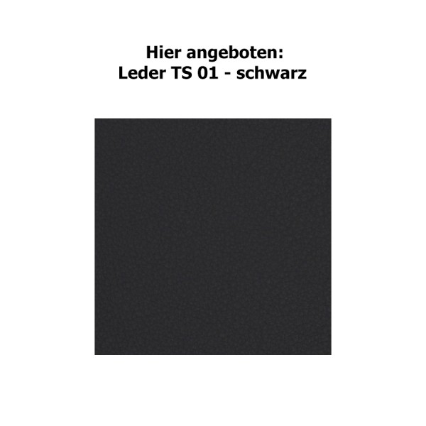 Hier angeboten - Leder TS 01 - schwarz