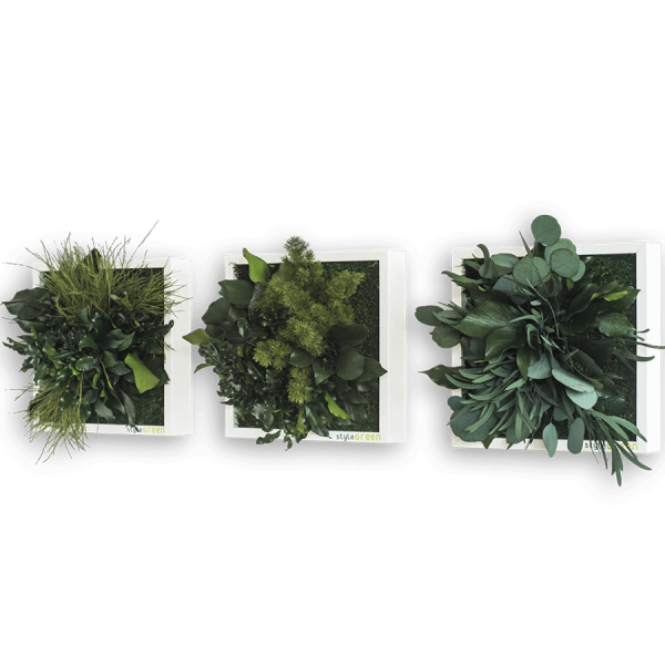 PFLANZENINSELN 22X22CM 3ER SET