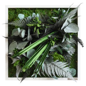 Pflanzenbild im Dschungeldesign 35x35cm | Vollholz Rahmen weiß Pflanzenbild im Dschungeldesign 35x35cm | Vollholz Rahmen weiß
