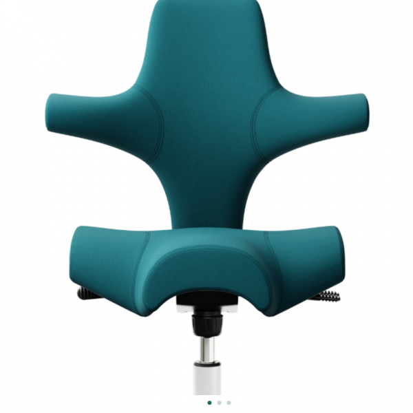 HAG Capisco 8106 Stoff Note 67066