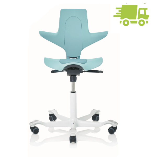 HAG CAPISCO PULS 8010 seagreen 200 mm Gasfeder - schnell geliefert