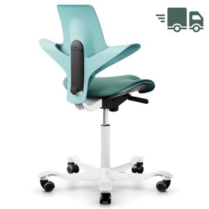 HAG CAPISCO PULS 8020 seagreen 200 mm Gasfeder - schnell geliefert HAG CAPISCO PULS 8020 seagreen 200 mm Gasfeder - schnell geliefert