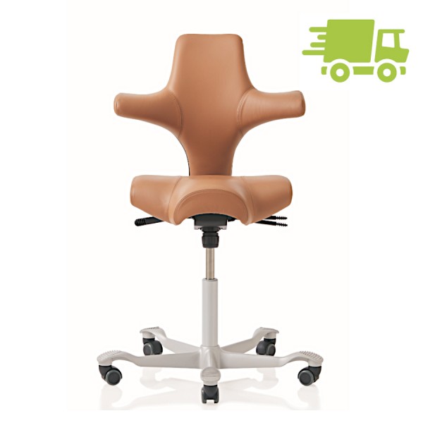 HAG Capisco Leder Cognac