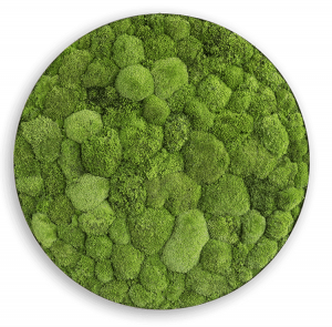 styleGREEN MOOSBILD: KUGELMOOS-ELLIPSOID 80 cm styleGREEN MOOSBILD: KUGELMOOS-ELLIPSOID 80 cm
