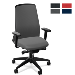 Interstuhl EVERYis1 (EV31E) Bürostuhl Polsterrücken Economy - Express Interstuhl EVERYis1 (EV31E) Bürostuhl Polsterrücken Economy - Express