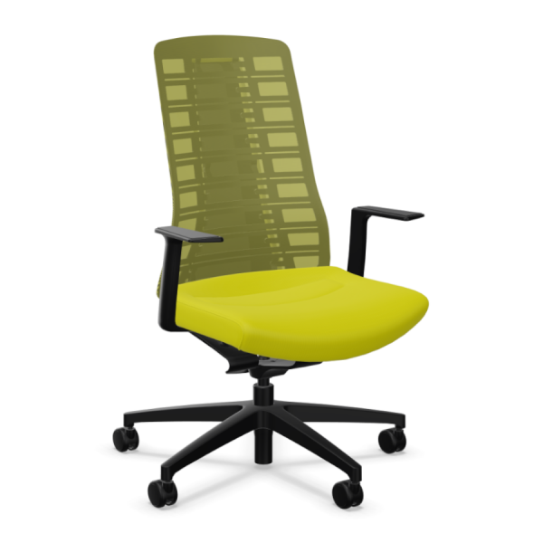 Interstuhl PURE PU213 schwarz komplett grün