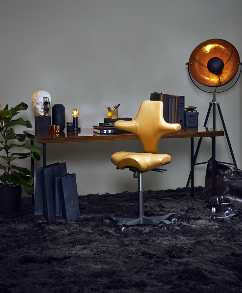 HAG Capisco Leder - Beispielbild