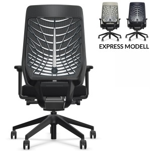 Interstuhl JOYCEis3 JC21E (JC211) Bürostuhl Netzrücken Economy, Komplettausstattung - Express Modell Interstuhl JOYCEis3 JC21E (JC211) Bürostuhl Netzrücken Economy, Komplettausstattung - Express Modell