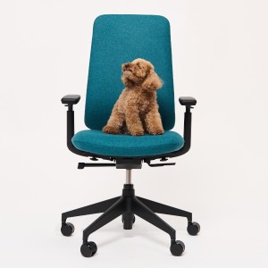 Vorschau: HAWORTH Aloha Pro Bürostuhl | Polsterrücken | Konfigurator Vorschau: HAWORTH Aloha Pro Bürostuhl | Polsterrücken | Konfigurator