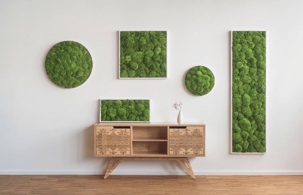 styleGREEN KUGELMOOSBILD 80X80 cm