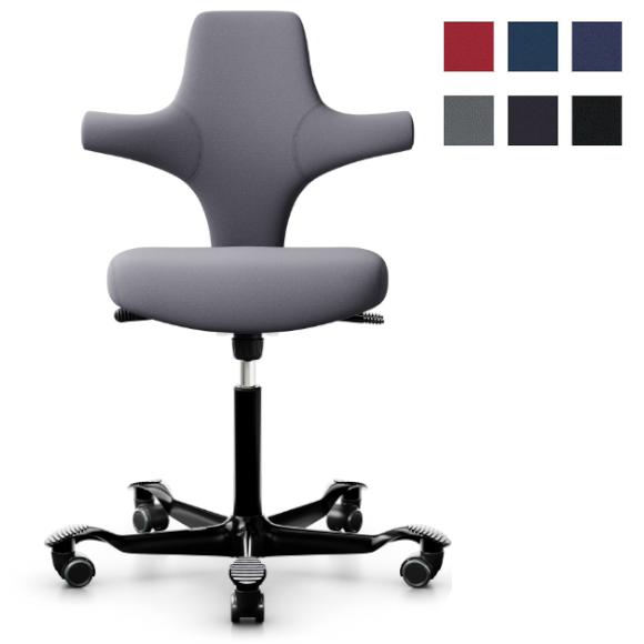 HAG Capisco 8126 grau