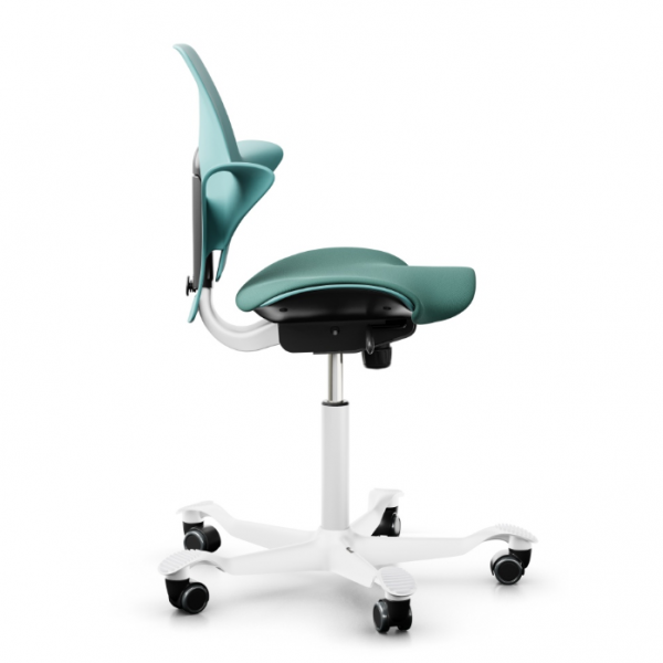 HAG Capisco Puls 8020 seagreen