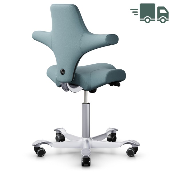 HAG CAPISCO 8106 - Stoff Select 67098 - Gestell silber - Rückansicht