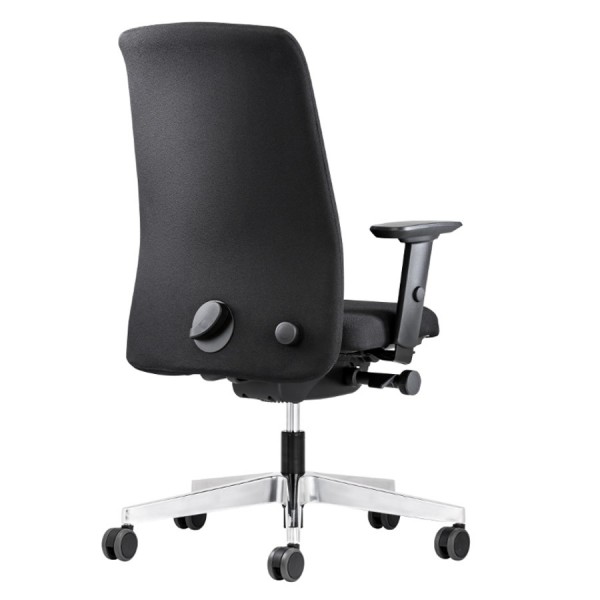 Interstuhl E202 Ergonomic - Rückansicht
