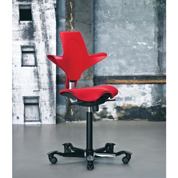 HAG Capisco Puls 8020
