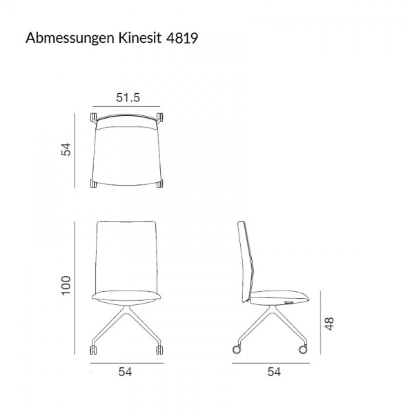Aper Kinesit 4819