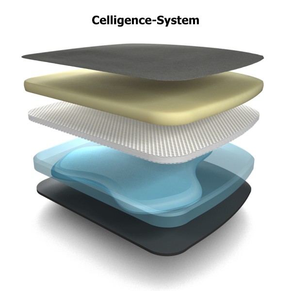 Celligence-System
