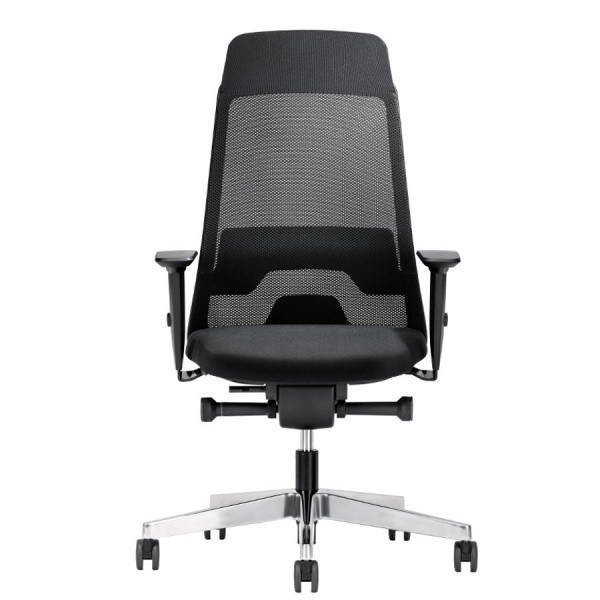 Interstuhl Aktionsmodell Ergonomic E242- Frontansicht