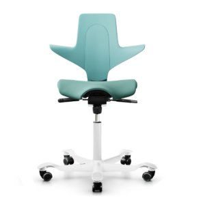 HAG Capisco Puls 8020 seagreen HAG Capisco Puls 8020 seagreen